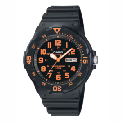 CASIO MRW200H-4BVDF Analog Men Watch